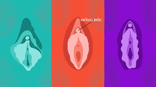 mồng đốc là gì? khái niệm mồng đốc